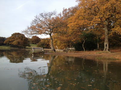 Autumn on the Hamble